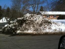 SUCH a winter wonderland.