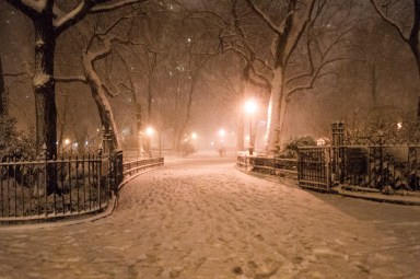 Snow in New York only looks this pretty on Instagram.